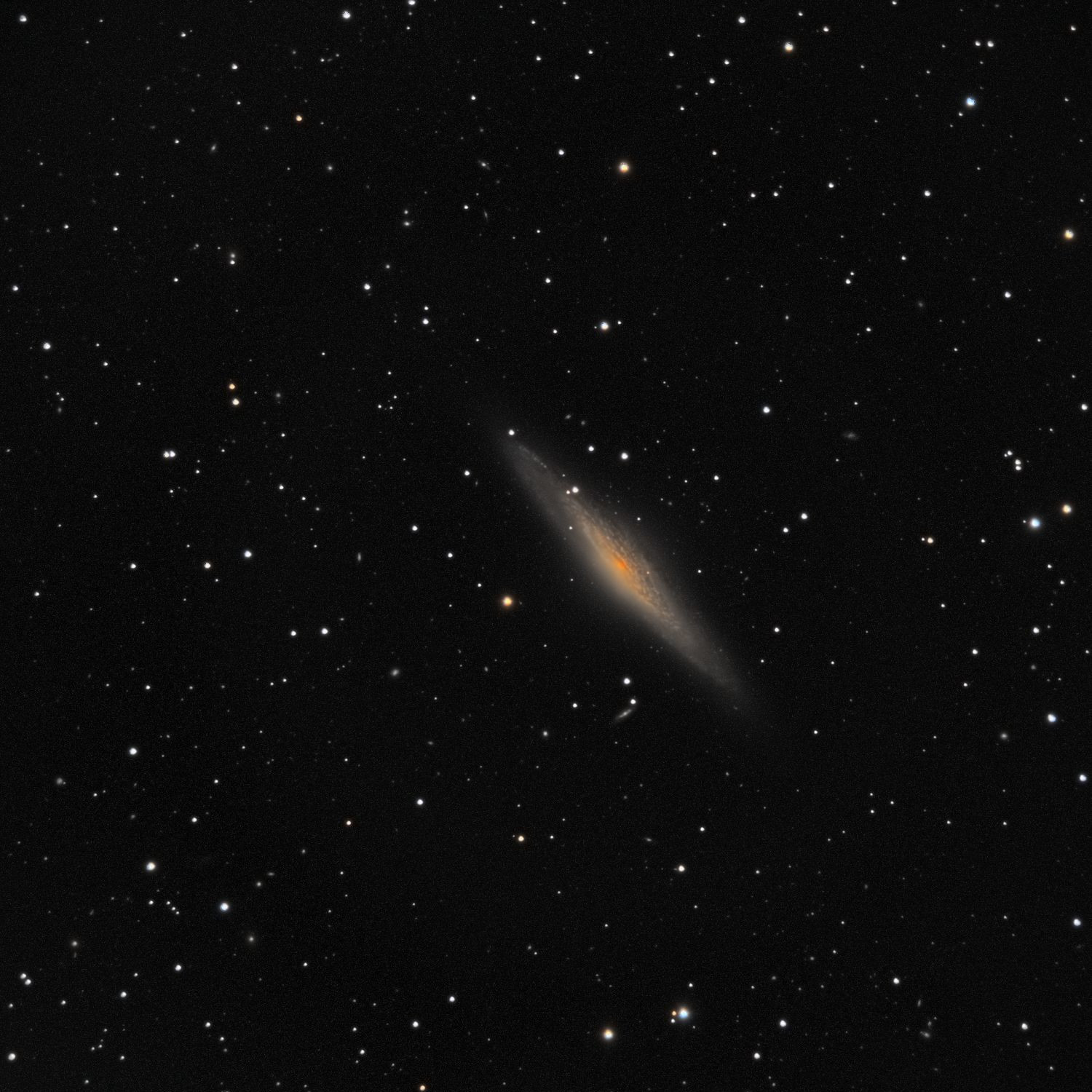 NGC2683