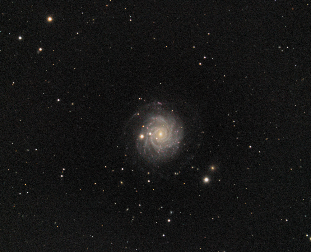 NGC3344
