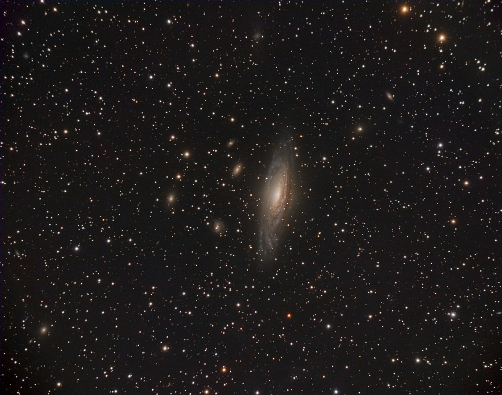 NGC7331