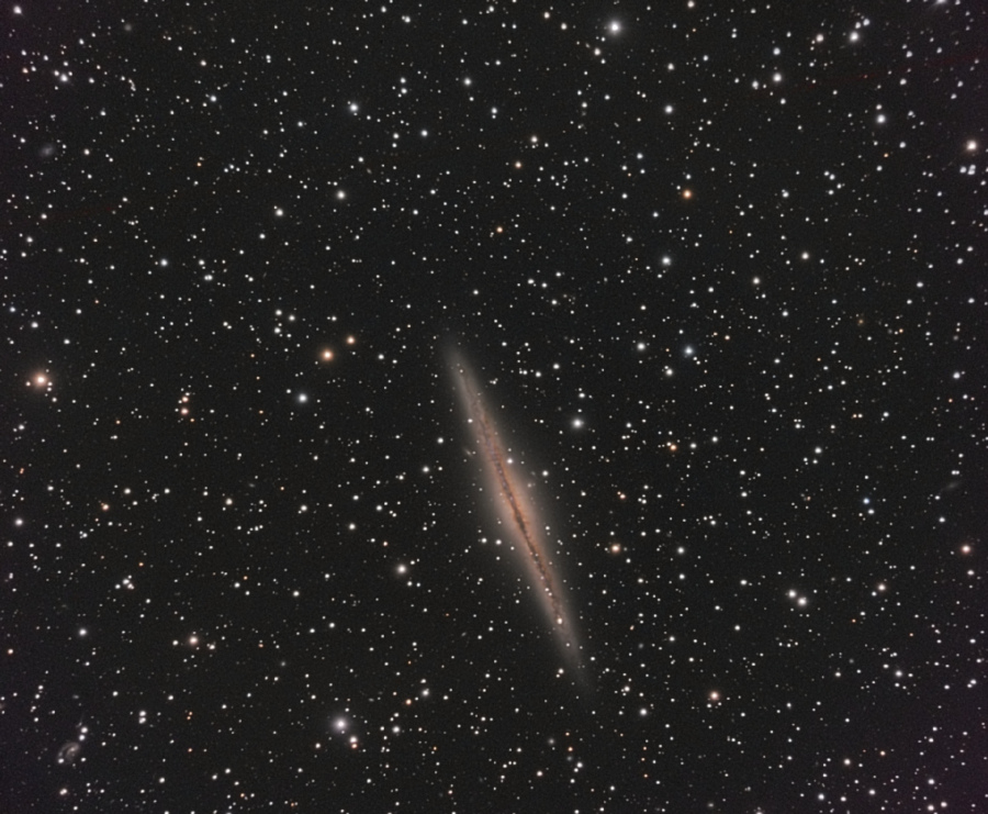 NGC891