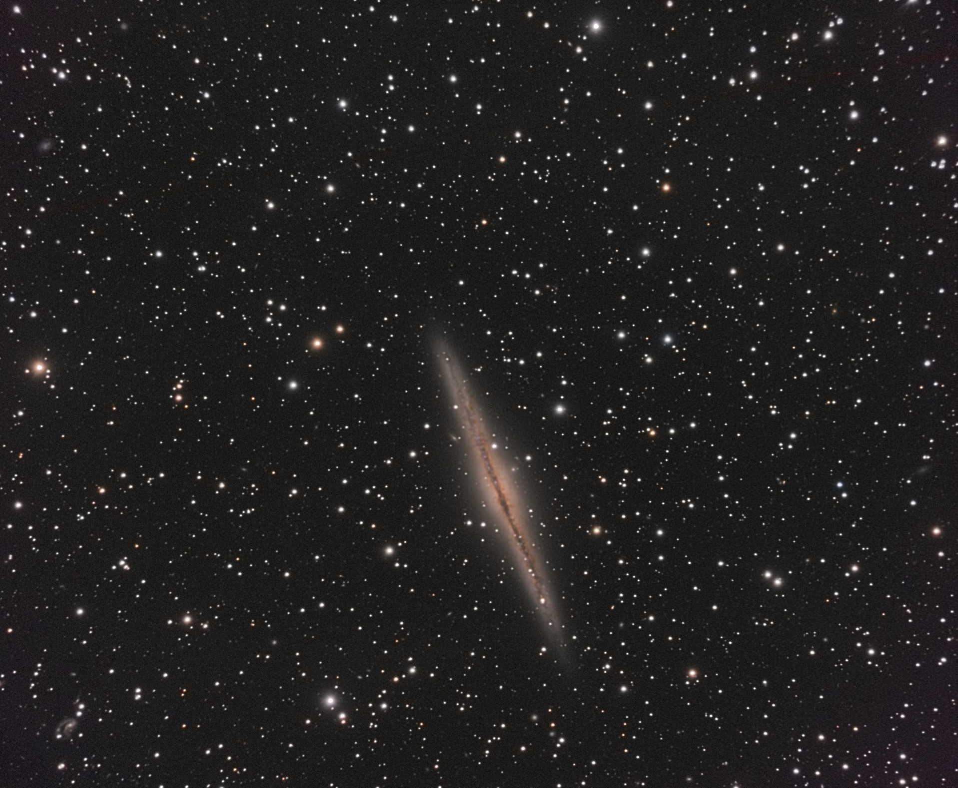 NGC891