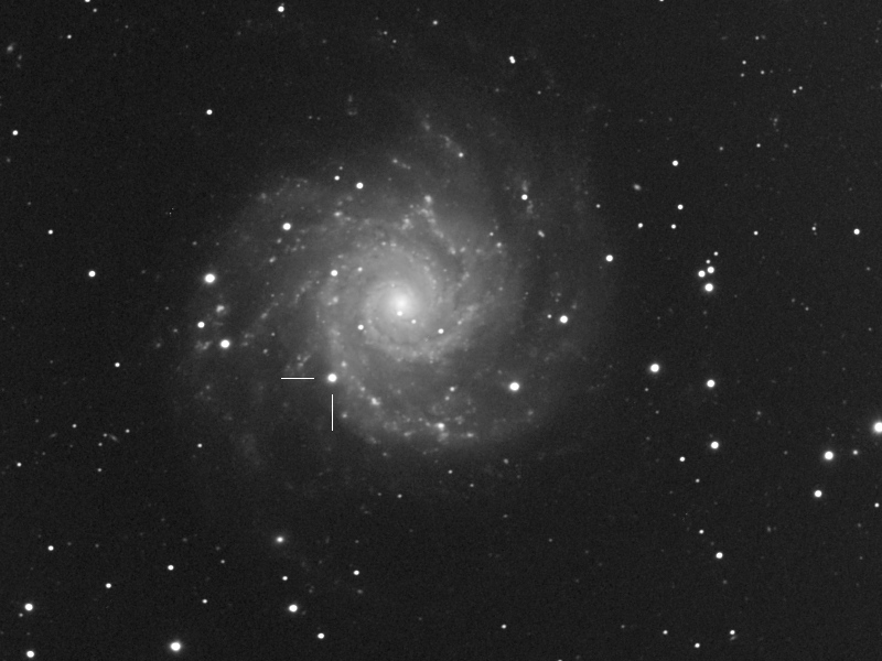 SN2013ej in M74 16.078.2013