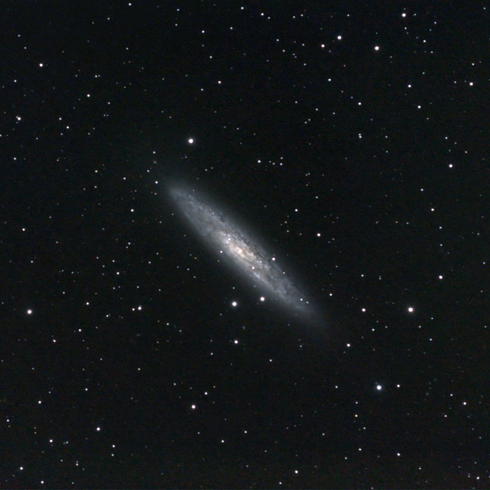 NGC253