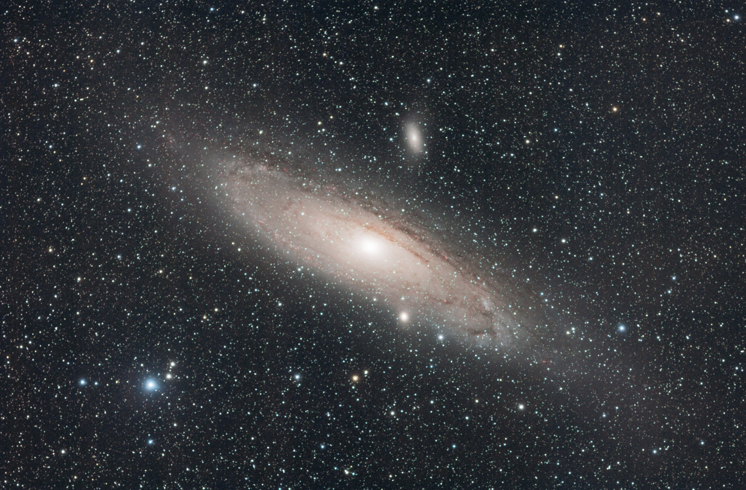 M31