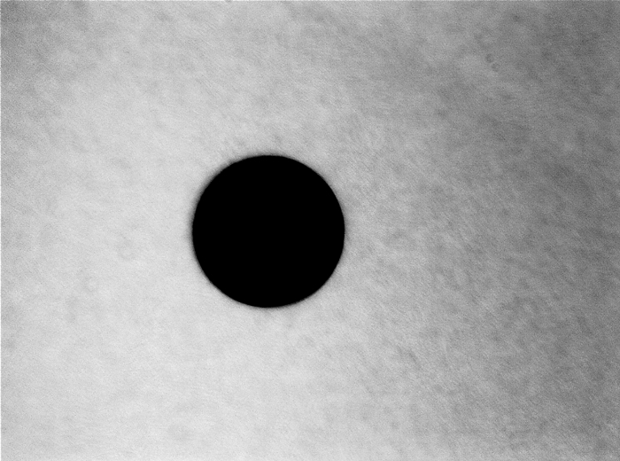Venustransit 8.06.2004