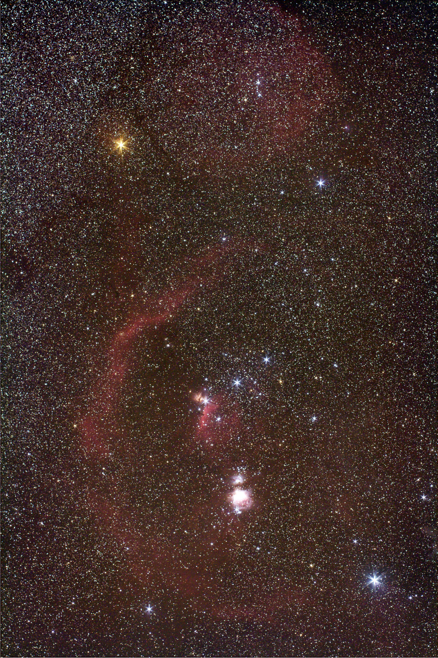 Orion