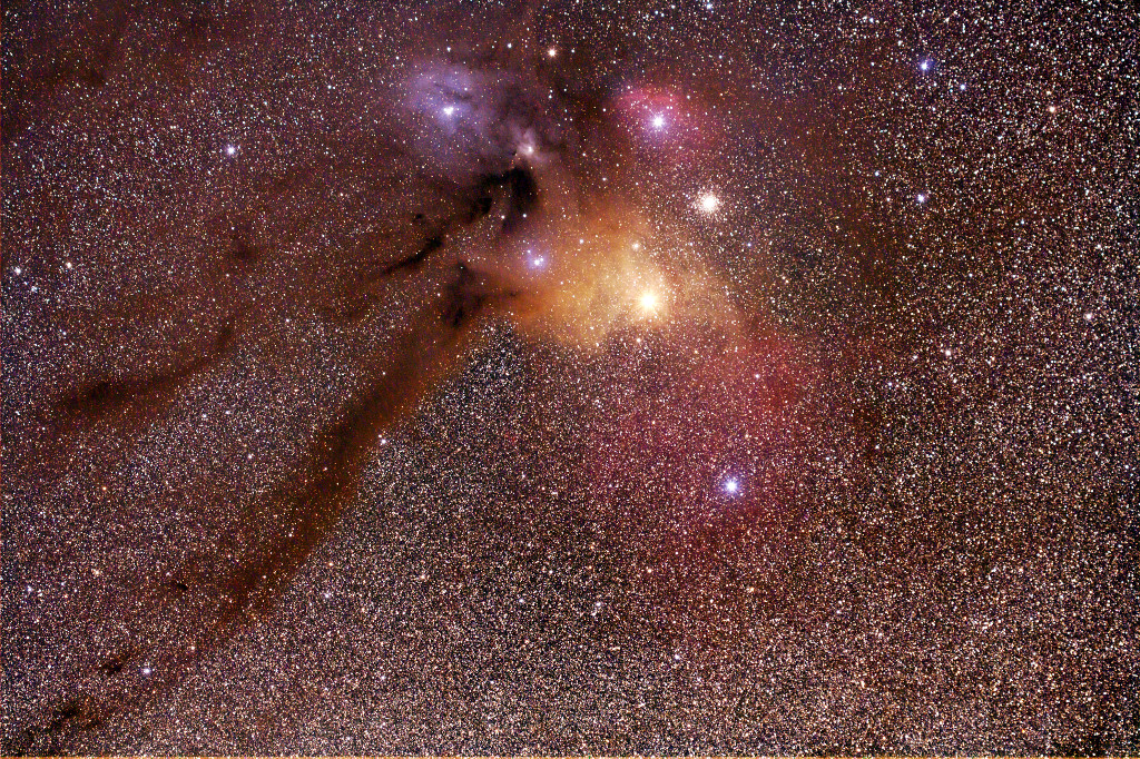 Rho Ophiuchi