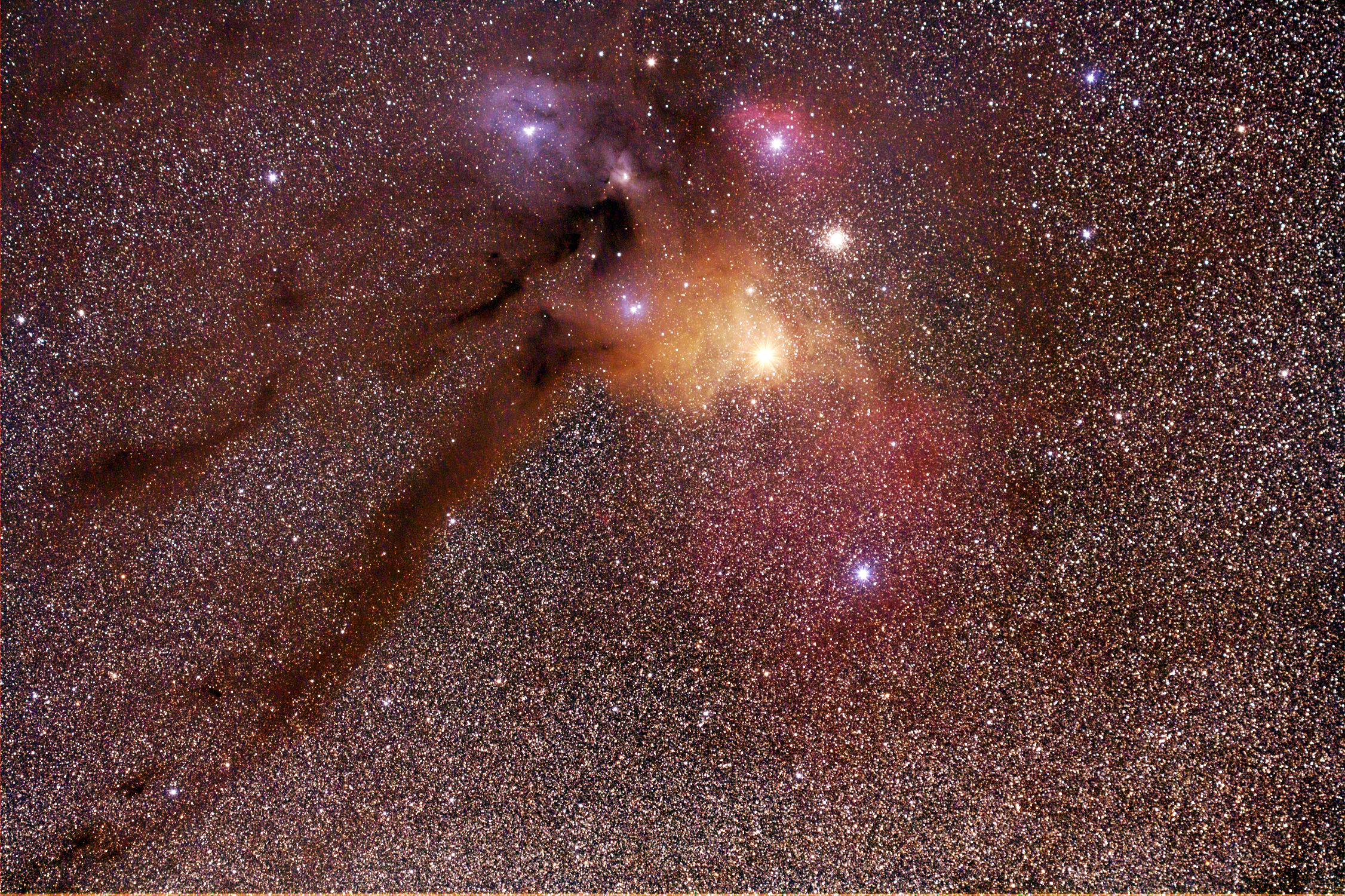 Rho Ophiuchi
