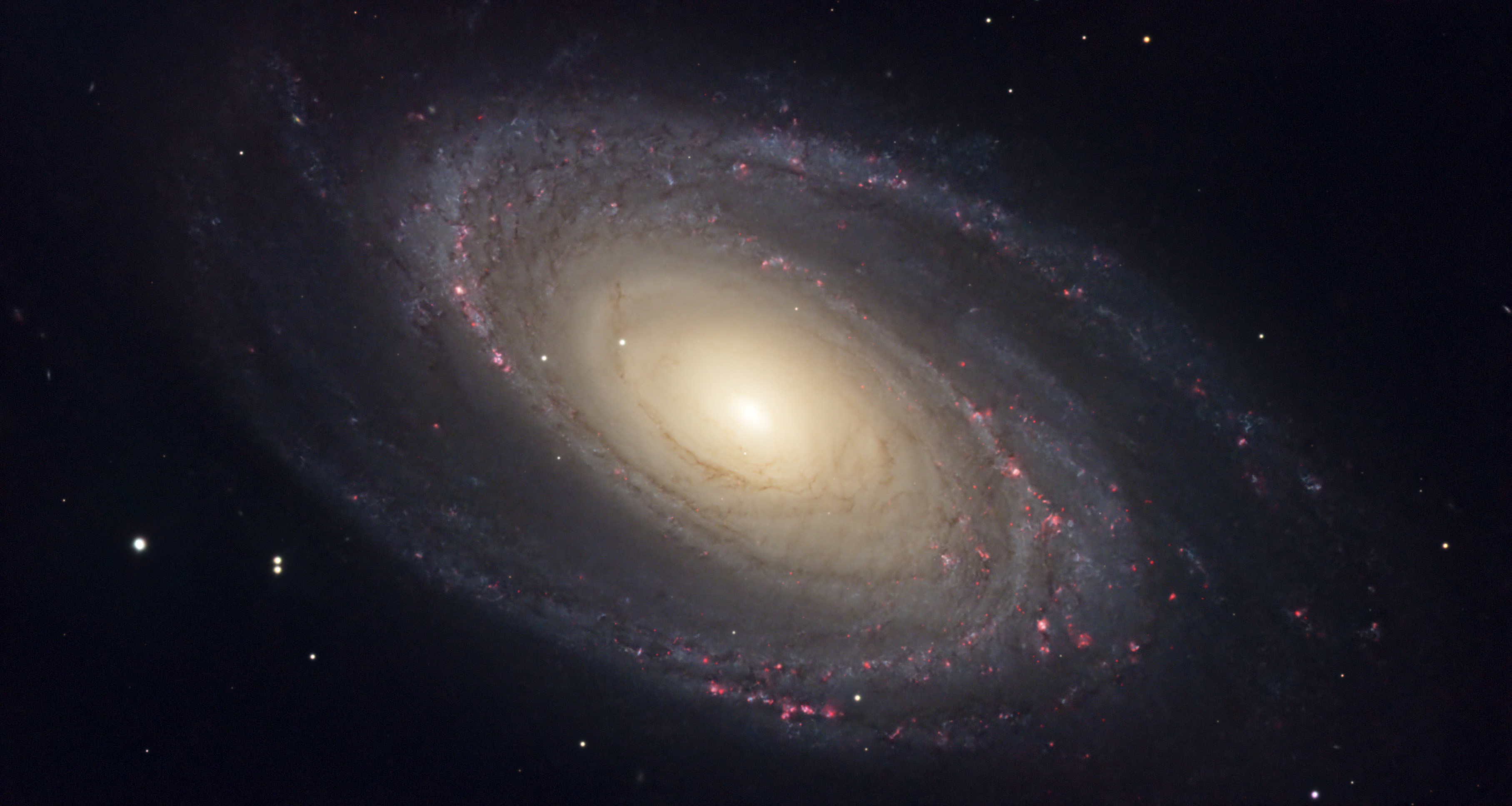 M81