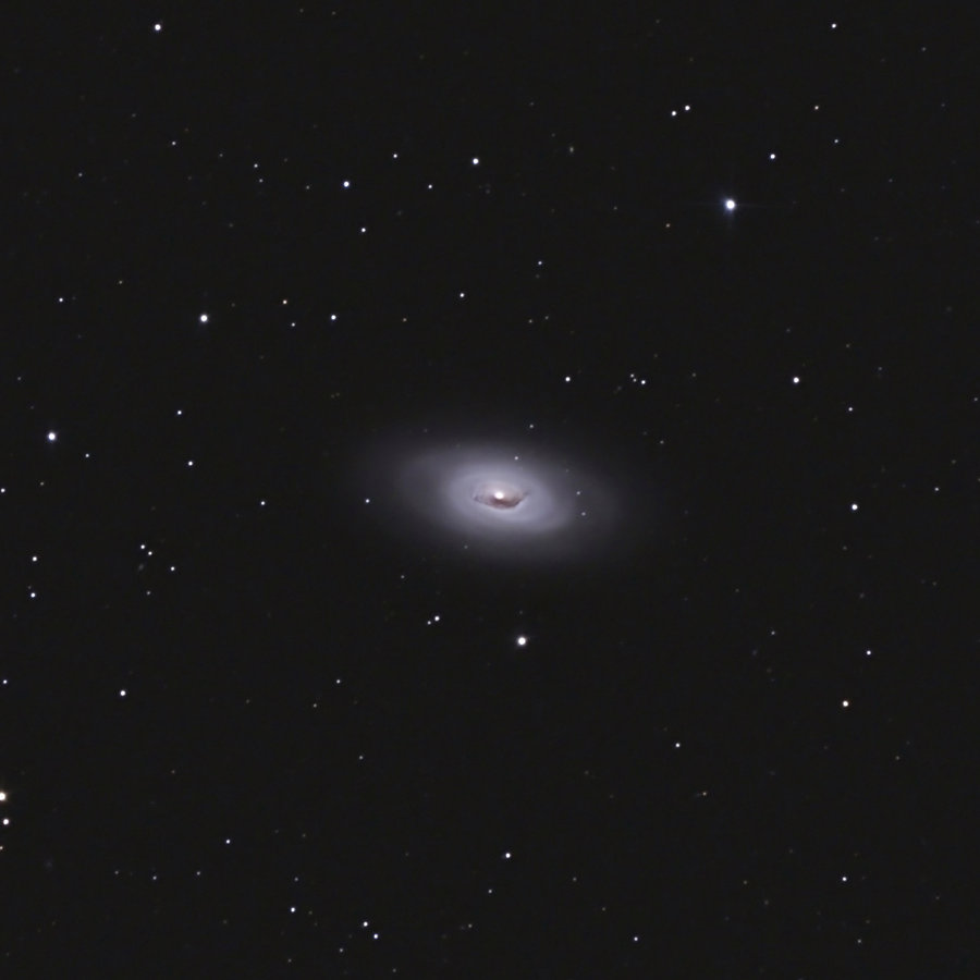 M64